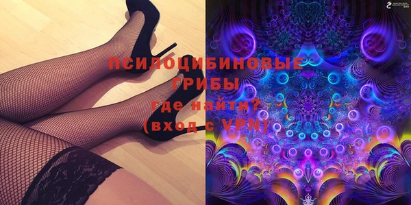бошки Осташков