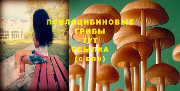 мяу мяу мука Осинники