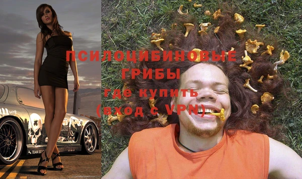 мяу мяу мука Осинники